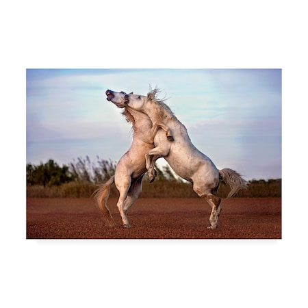 Xavier Ortega 'Horses Fighting' Canvas Art,12x19